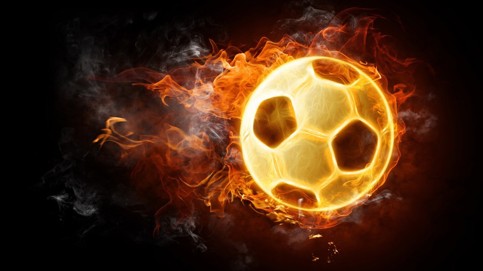 极限运动纪录片荣获国际奖项，极限运动冠军