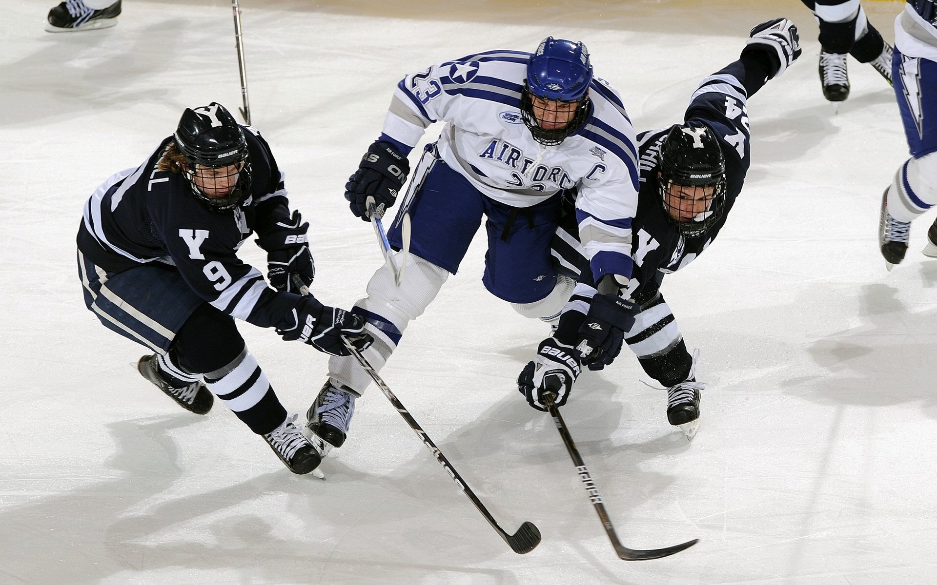 突尼斯男队自由泳冲刺力强劲，突尼斯篮球联赛赛程